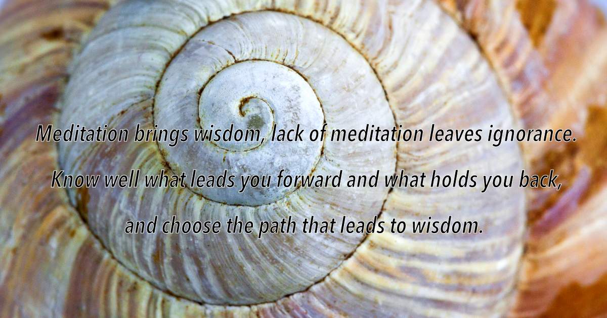 Manifesting My Purpose