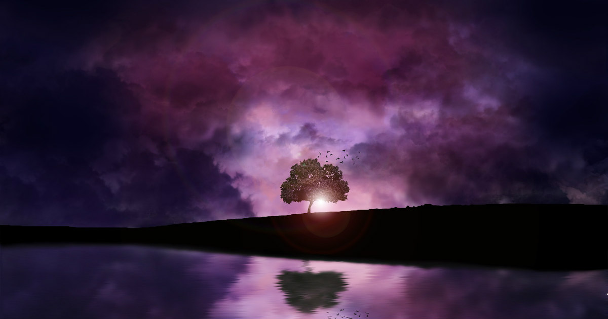 Abundance is Everywhere