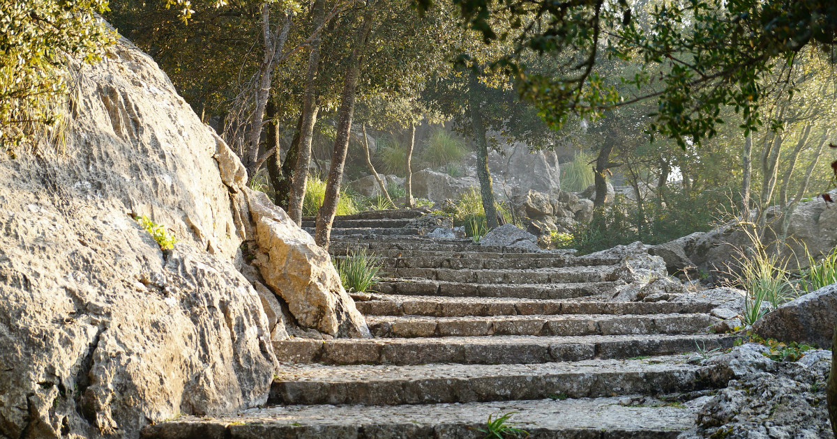 I love the light for it shows me the way