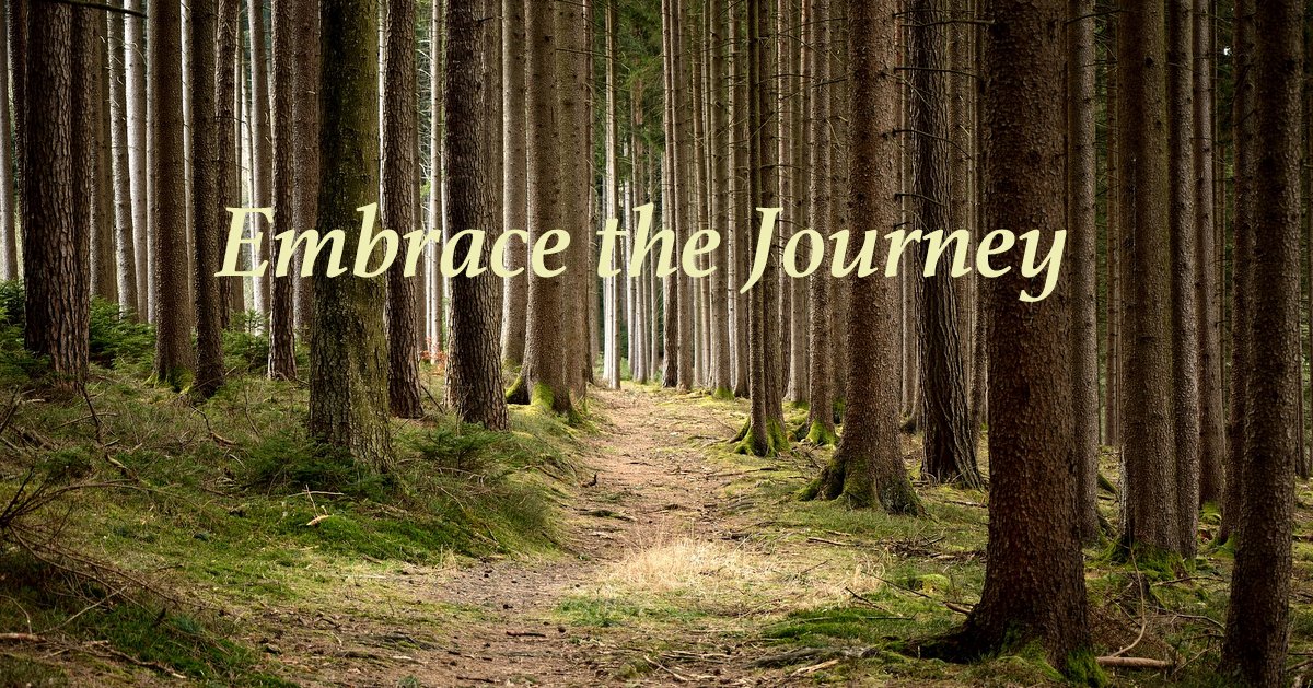 Embrace the Journey
