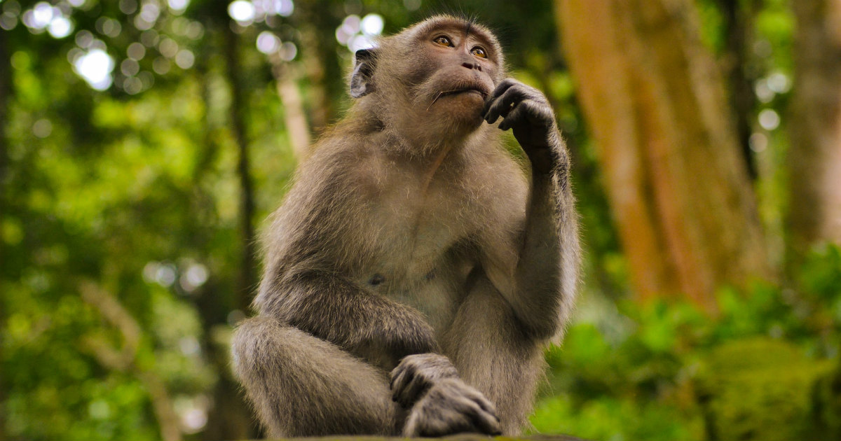 Power of Perfect Thought