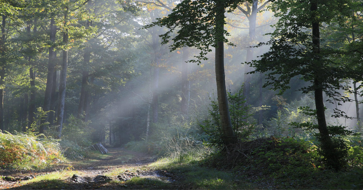 Manifesting: As above, So below