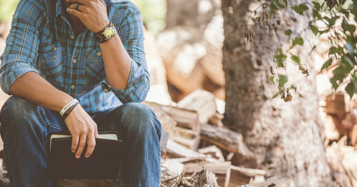 Basking in glorious sunshine