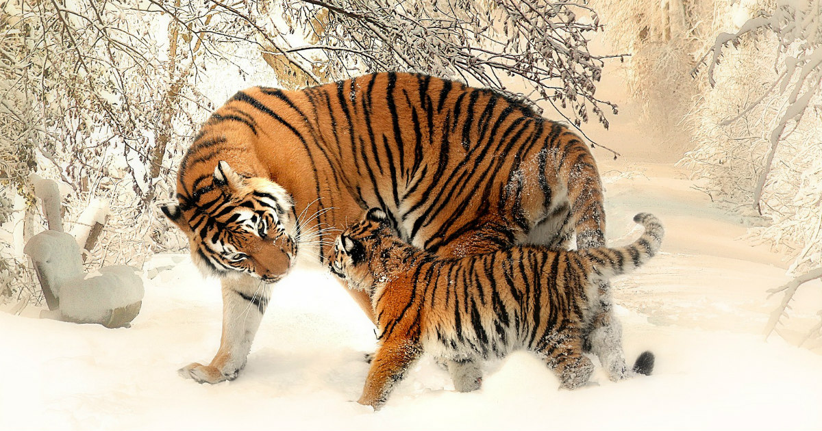 Persistence and Determination