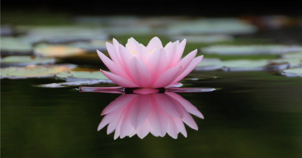 Persistence with Love are the Keys