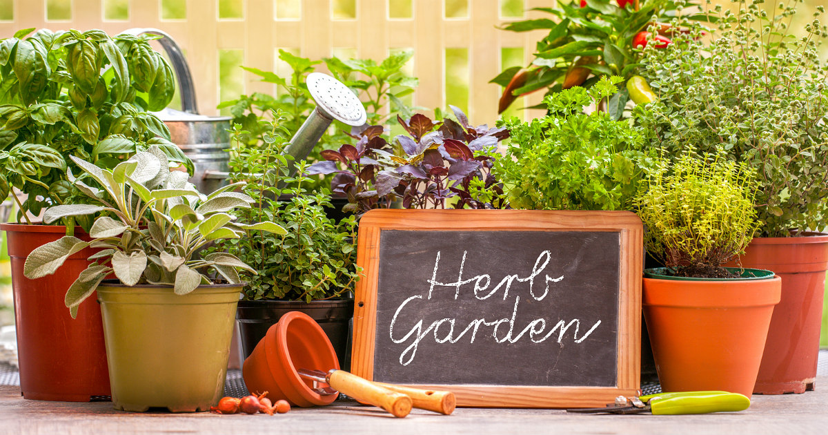 A Simple Act of Kindness