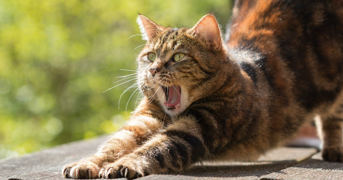 I Changed Just One Thing