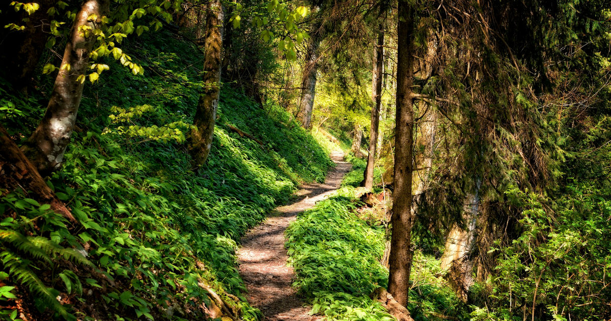 I Think Therefore I Am