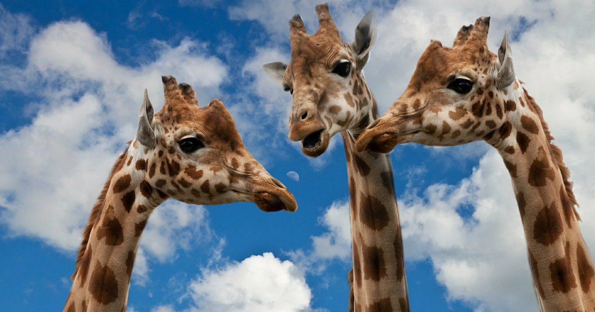 Life's greatest miracle